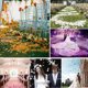 thumbnail image 5 of Laklulu 1000 piezas de pétalos de rosa artificiales para decoración de bodas, noches románticas, día de San Valentín, fiestas, eventos, 5 of 5