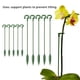 thumbnail image 4 of Varilla de soporte para plantas Matsuzay 5X plásticos reutilizables, 4 of 6