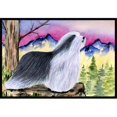 thumbnail image 1 of Carolines Treasures SS8338MAT Tapis Intérieur Extérieur 18 x 27 Po. Bearded Collie, 1 of 4
