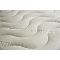 thumbnail image 2 of Couvre-matelas à plateau-coussin en bambou Absolute Luxury King, 2 of 3