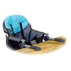 Regalo Adjustable Height Hook-on Seat