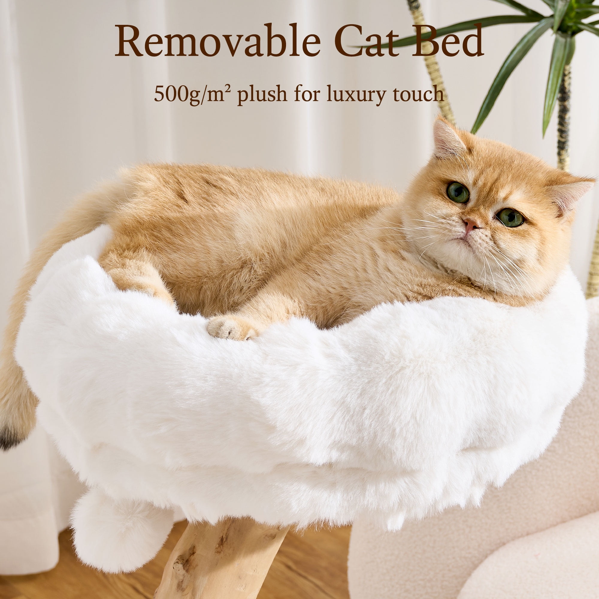 HITTITE Natural Solid Wood Cat Tree Tower with Scratching Post, 32 Inches Tall Modern Cat Tower with Cozy Bed and Platforms, Luxury Real Branch Cat Tree for Indoor Cats Large Adult, White.