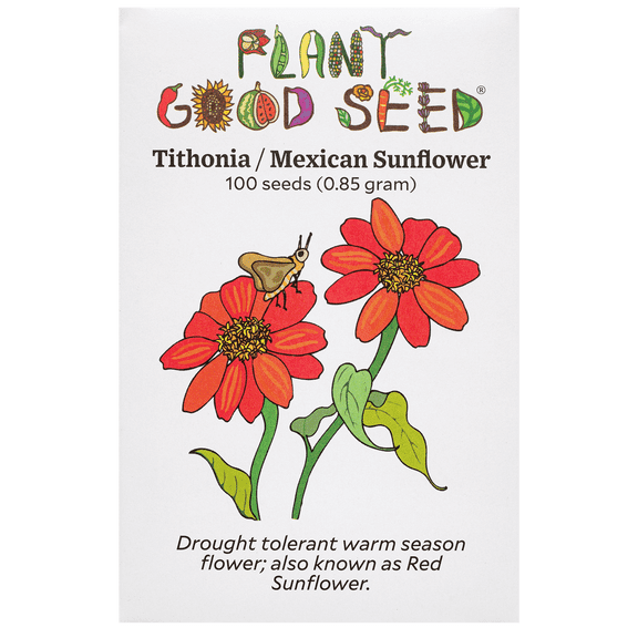 Tithonia / Mexican Sunflower Seeds
