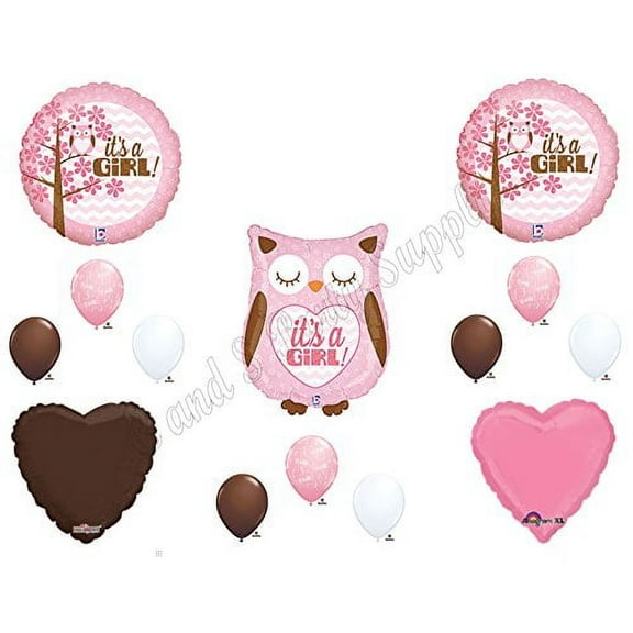 Baby Girl Owl Shower Balloons Decorations Supplies