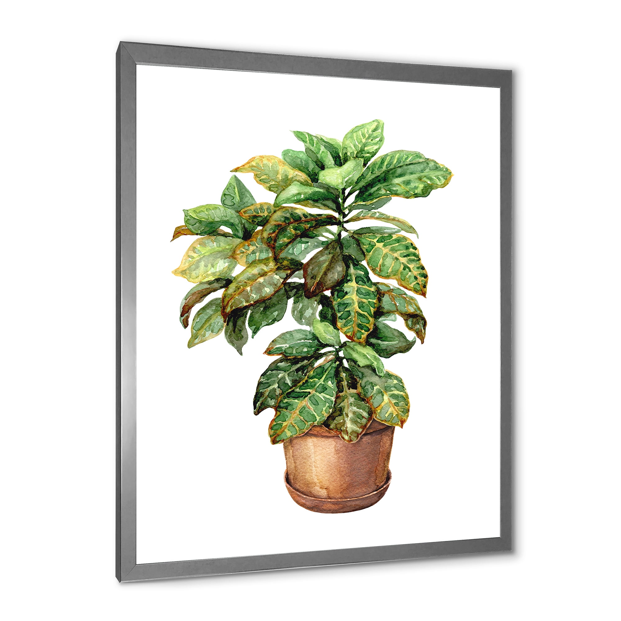 Designart 'Green Croton In Clay Flowerpot' Traditional Framed Art Print