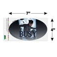 thumbnail image 4 of Batman Busy Catwoman Automotive Car Refrigerator Locker Vinyl Euro Oval Magnet, 4 of 5