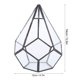 thumbnail image 3 of Terrario geométrico irregular de cristal poliedral, terrario, terrario, maceta, maceta, decoración paisajística Ecomeon  no, 3 of 6