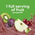 thumbnail image 5 of Beech-Nut Smoothie + Prebiotics for Toddlers, Apple Cherry Prpl Carrot Yogurt, 3.5oz Pouch, 5 of 12