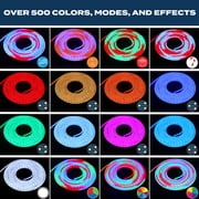 Brightlux 16.4 ft. Color Flow Neon Flex Light