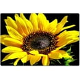 thumbnail image 2 of 3x4ft Crystal Velvet Rug, Sunflower Design Mat, Yellow Floral Decor Rug, Bedroom Living Room, Washable & Non Slip & Soft Low Pile Large Area Carpet, Indoor/Outdoor, 2 of 7