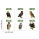 thumbnail image 3 of Bird Encyclopedia Owl Pattern Restaurant Pot Insulation Mat 6pc, 3 of 7