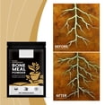 View all media