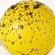 thumbnail image 3 of 10pcs Bola adhesiva de mosca de fruta adhesiva pegajosa pelota de captura para cocina (con base), 3 of 7