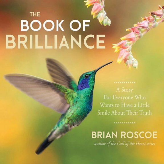 The Book of Brilliance, (Paperback)