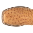 thumbnail image 4 of Dan Post Boots Mens Kershaw Ostrich Embroidered Square Toe Pull On Cowboy, 4 of 5