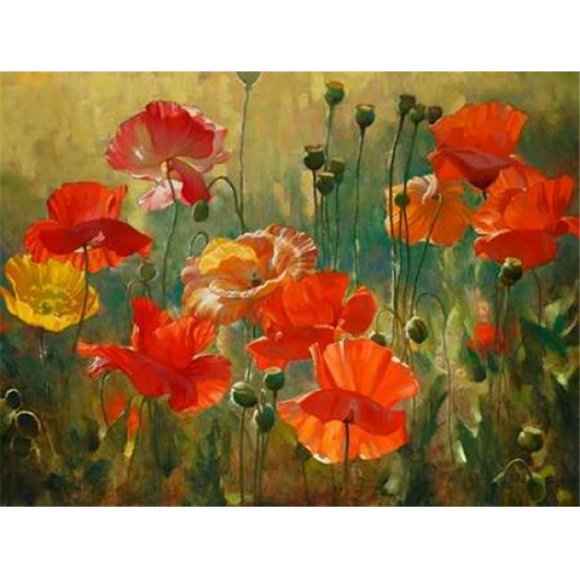 Image Conscious PDXS1311DLARGE Poppy Fields Poster Print by Emma Styles, 22 x 28 - Large