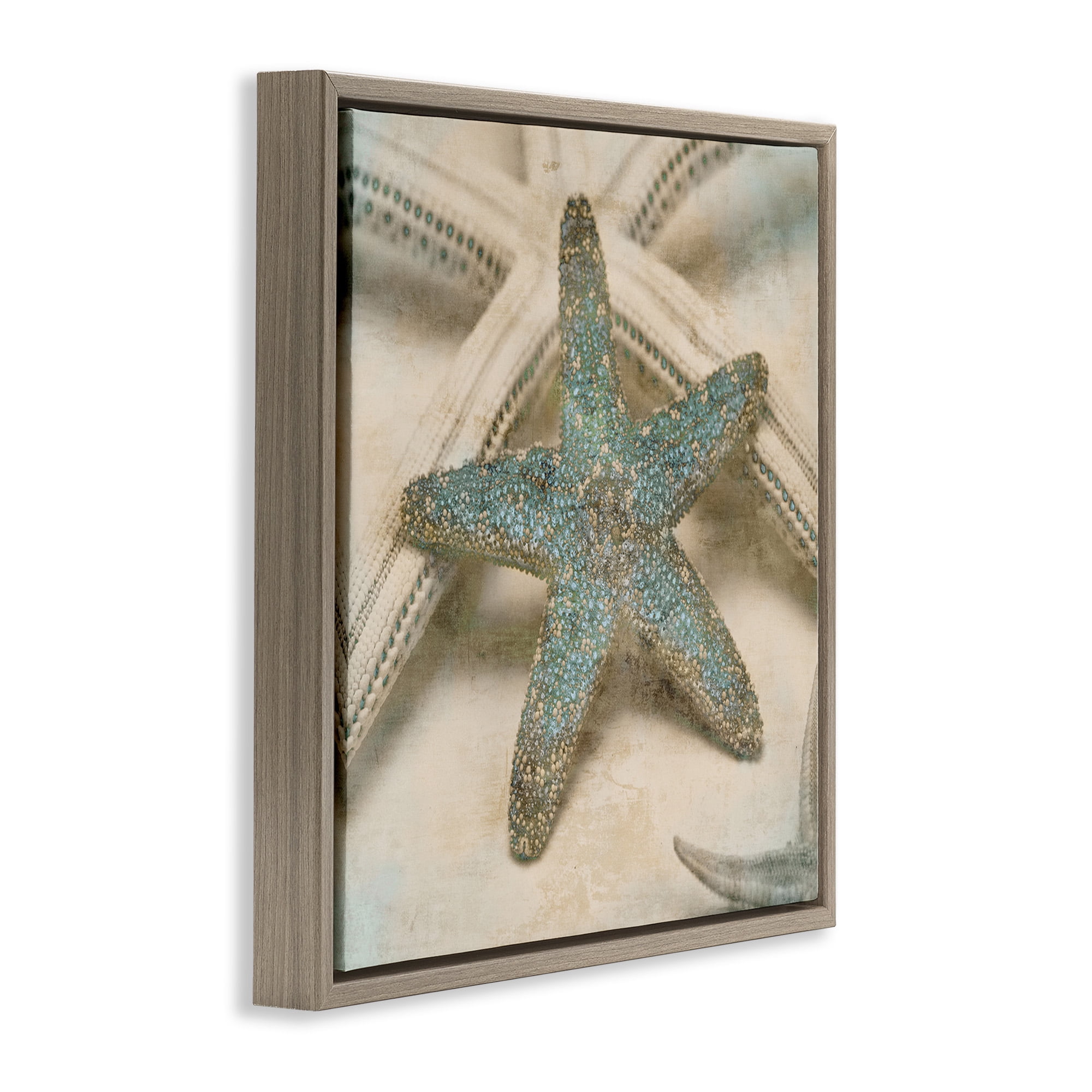 Stupell Industries Distressed Texture Starfish Nature Photography Brown Floater Framed Canvas Art Print Wall Art, 18 x 18