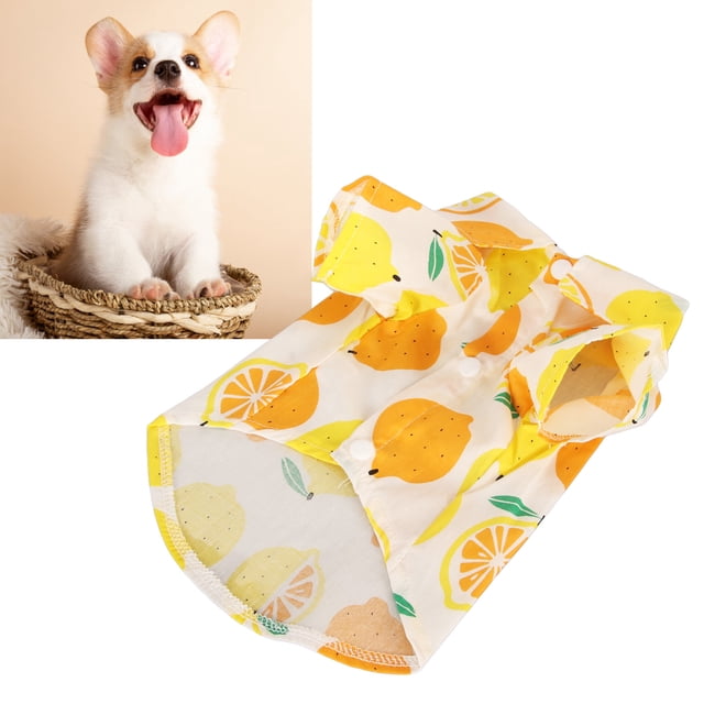 Pijama de Suéter Ligero Cobertura Completa Pijama de Perro Actualizado Estilo de Fruta para Perros Pequeños Gatos Ropa de Perro a Cuadros Pijama de Perro Cachorro para Perros ANGGREK Otros