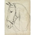 thumbnail image 2 of Parker, Jennifer Paxton 19x24 White Modern Wood Framed Museum Art Print Titled - Horse in Bridle Sketch II, 2 of 4