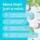 thumbnail image 2 of NeuroGum Energy Caffeine Mints (90 Pieces) - Sugar Free with L-theanine + Natural Caffeine + Vitamin B12 & B6 - Nootropic Energy & Focus Supplement for Women & Men - Keto & Vegan, Peppermint Flavor, 2 of 5