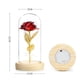 thumbnail image 5 of Rosa Artificial Flor Falsa Luz Led Decoración Para El Hogar En Cúpula De Vidrio Para Cumpleaños, Día De Acción De Gracias, Día De San Valentín Y Día De La Madre Yuarrent HA022749-00, 5 of 7