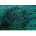 thumbnail image 4 of oneOone Cotton Silk Green Fabric Batik Fabric For Sewing Printed Craft Fabric By The Yard 42 Inch Wide, 4 of 4
