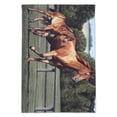 thumbnail image 1 of Mother Horse and Foal Baby Fresh Start Garden Yard Flag, 1 of 4