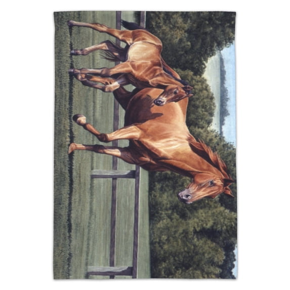 Mother Horse and Foal Baby Fresh Start Garden Yard Flag
