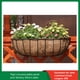 thumbnail image 4 of SAYOO Maceta de fibra de coco, forma redonda/pesebre, maceta suculenta, cesta colgante, forro de repuesto para jardín, cafetería, hogar SAYOO casual, 4 of 8