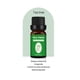 thumbnail image 1 of Clearance, 10ML Candle Unilateral Sweet Orange Aromatherapy Teatree Oil Lavender DIY Candle Material Oil-Soluble Aromatherapy Essentialoil, 1 of 5