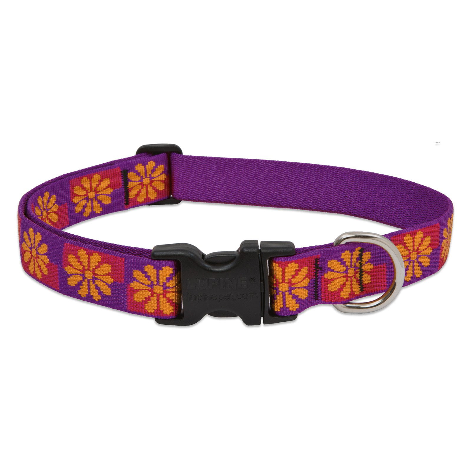 Lupine Collars & Leads Flower Box Collar