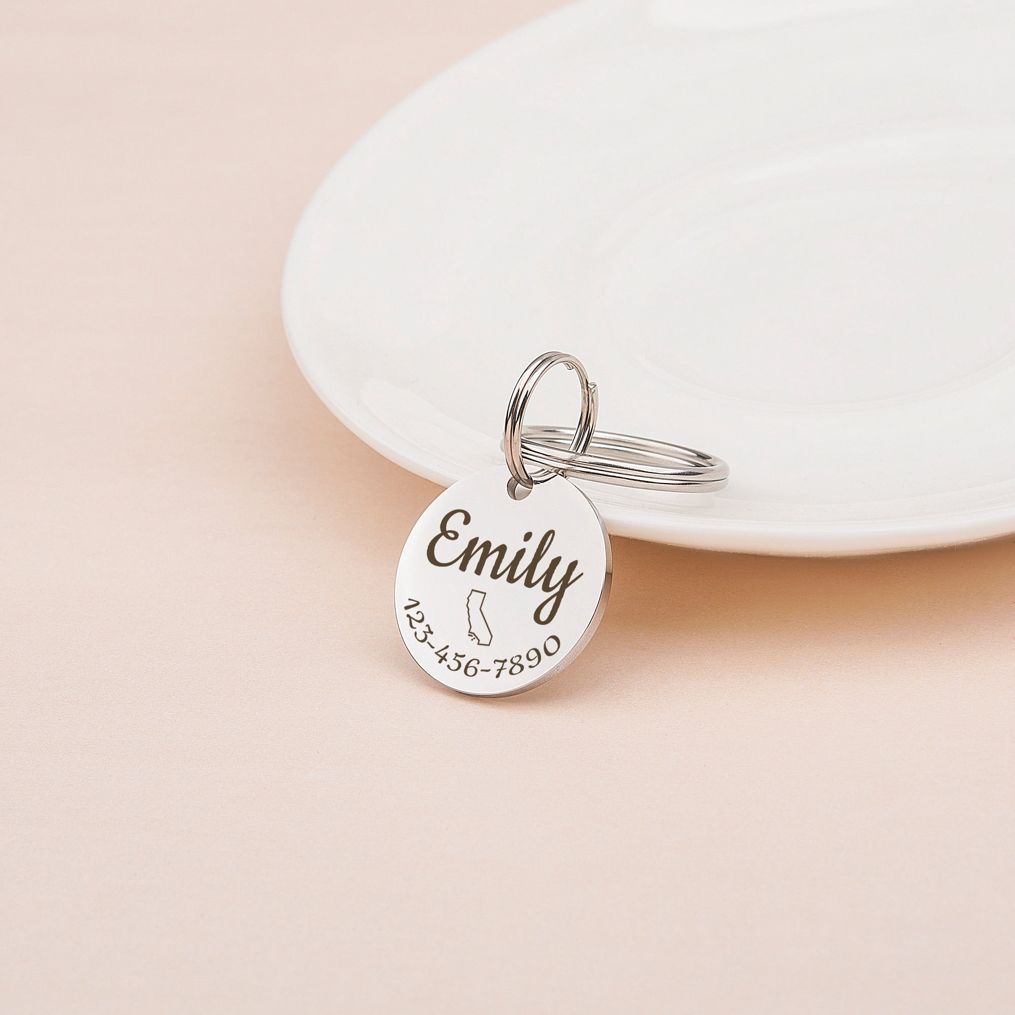 Anavia Stainless Steel Metal Round Name - State - Phone Number Birthday Holiday Christmas Engraved Dog Cat ID Tag, Silver