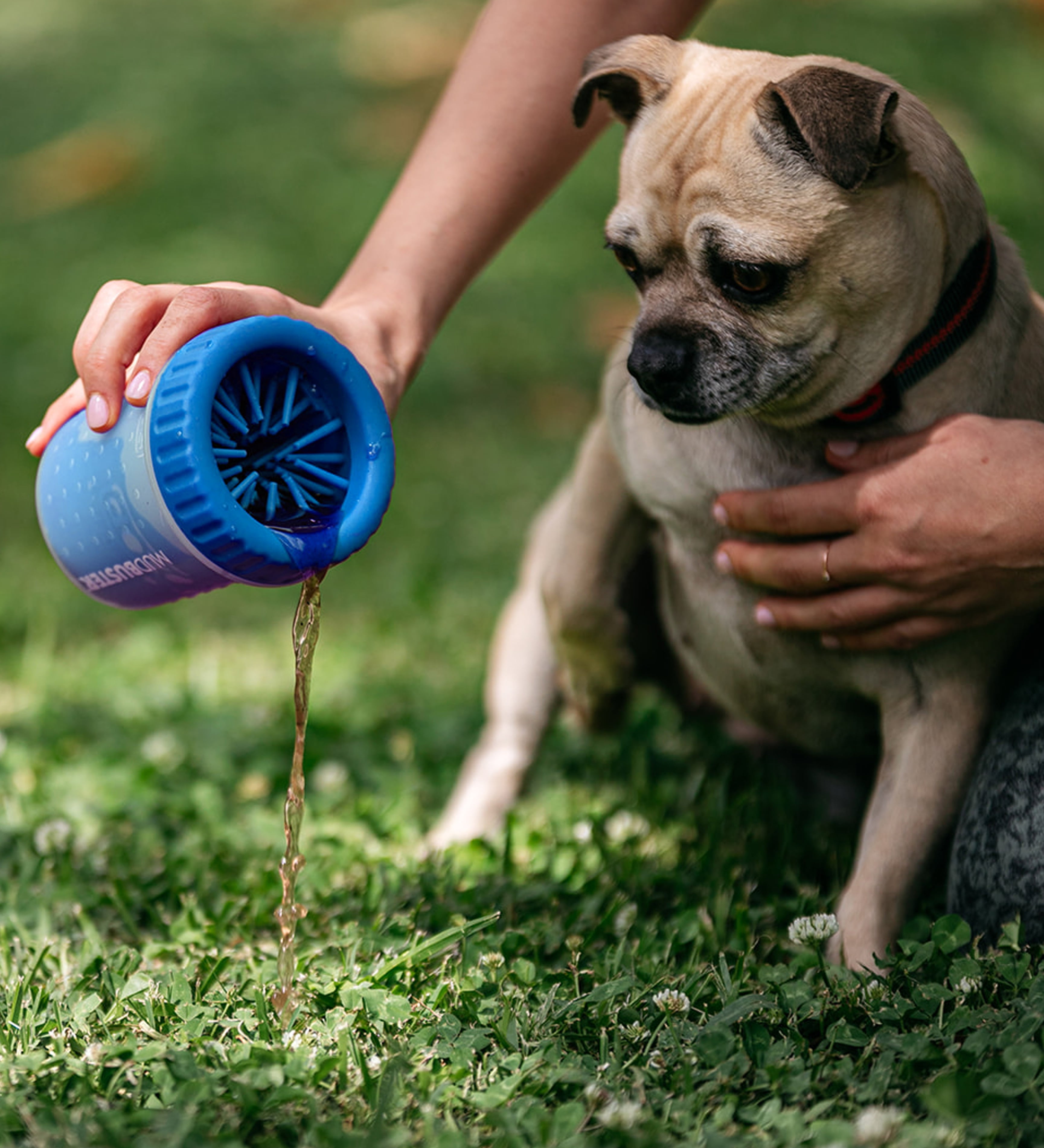 Dexas MudBuster Portable Dog Paw Washer and Cleaner, Petite, Pro Blue