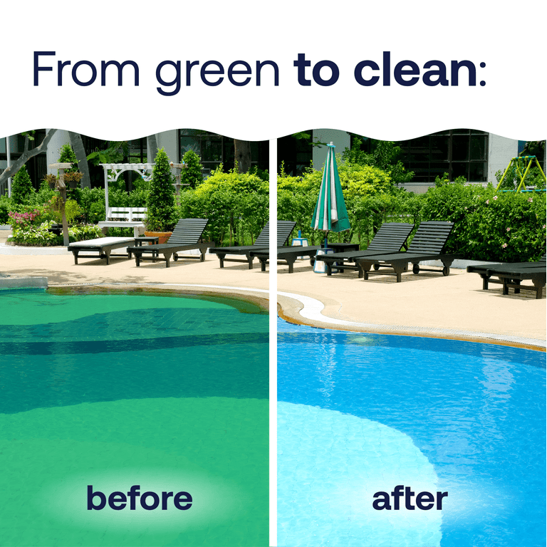 HTH Pool Care Algae Guard 10 for Swimming Pools, Liquid, 119oz