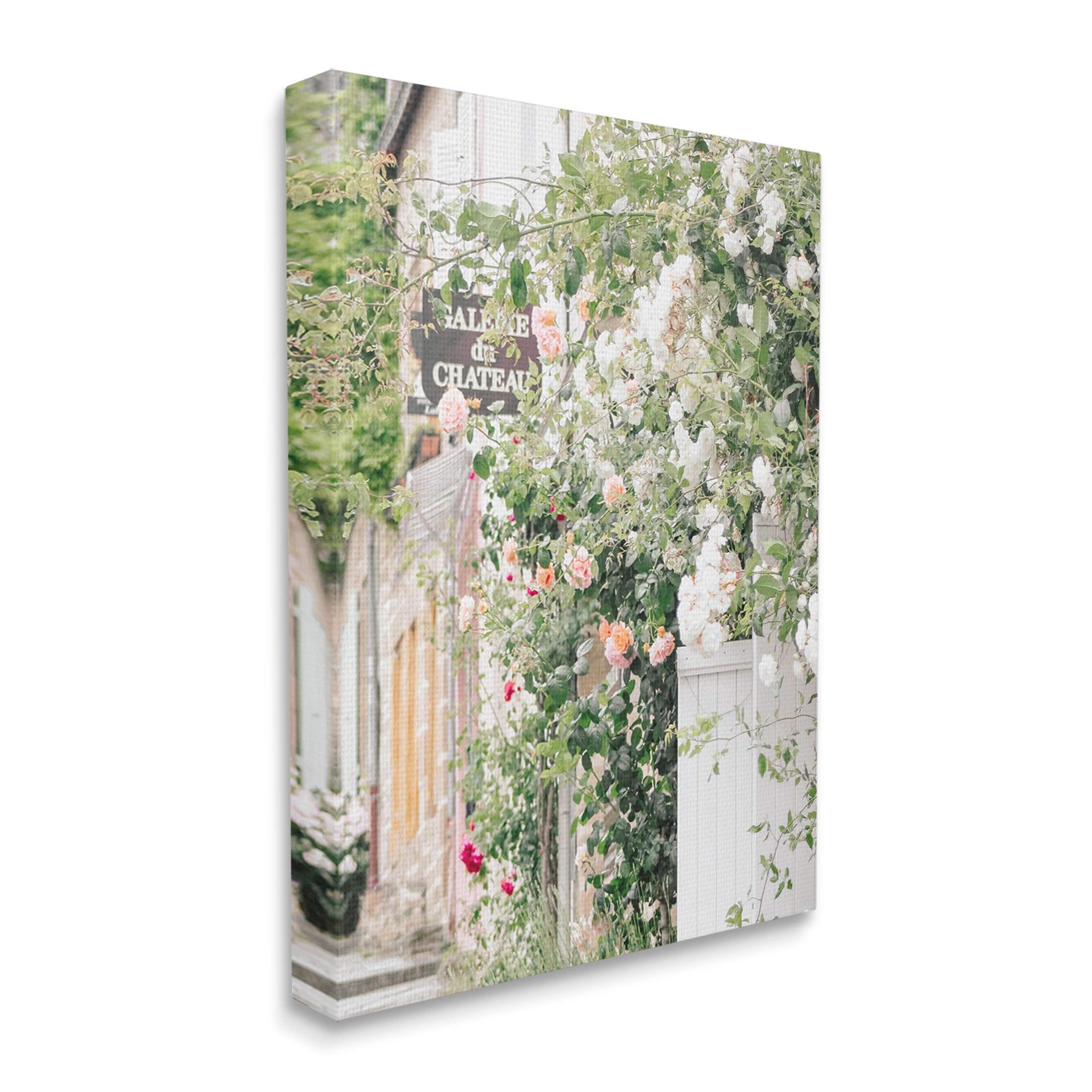 Roses Blooming French Neighborhood Town & City Photograph Gallery Wrapped Canvas Print Wall Art