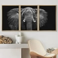 thumbnail image 2 of wall26 Framed Canvas Print Wall Art Set Black and White Elephant Portrait Animals Nature Photography Realism Rustic Scenic Dark Country Ultra for Living Room, Bedroom, Office - 16"x24"x3 NA, 2 of 5