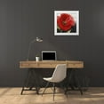 thumbnail image 3 of Knutsen, Conrad 15x15 White Modern Wood Framed Museum Art Print Titled - Poppy Perfection I, 3 of 4
