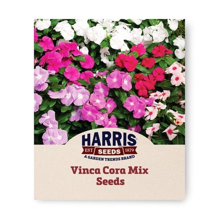 Harris Seeds - Vinca Cora Mix F1 Seeds - Large, Striking Blooms - 250 Seeds