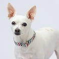 thumbnail image 3 of Country Brook Petz® Premium Sundry Chevron Collar and Leash Limited Edition, Small, 3 of 7