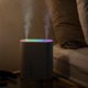 thumbnail image 4 of Humidificador de niebla de 1000 ml USB Silencioso Tipo-C Puerto de carga Doble blanco Zulema Humidificador de doble pulverización, 4 of 8