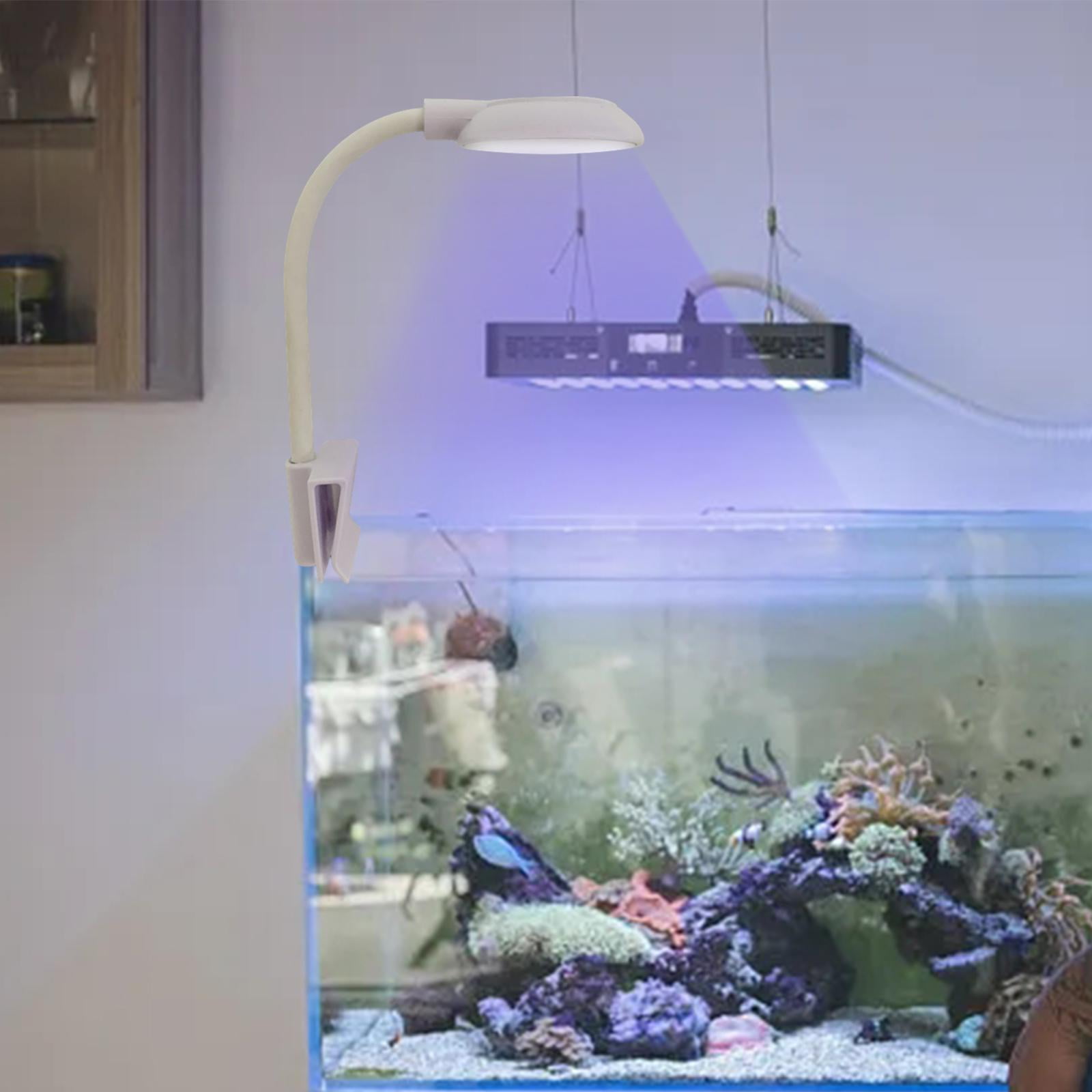Mini aquarium light online