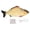 Green Grass Carp, variant on Nieyigj Electric Fish Cat Toy Plush Moving Wagging Jumping Automatic Simulation Fish Rechargeable Grass Carp USB Charging Kicker Toy for Indoor Cats (10.6 inches / 27 cm)