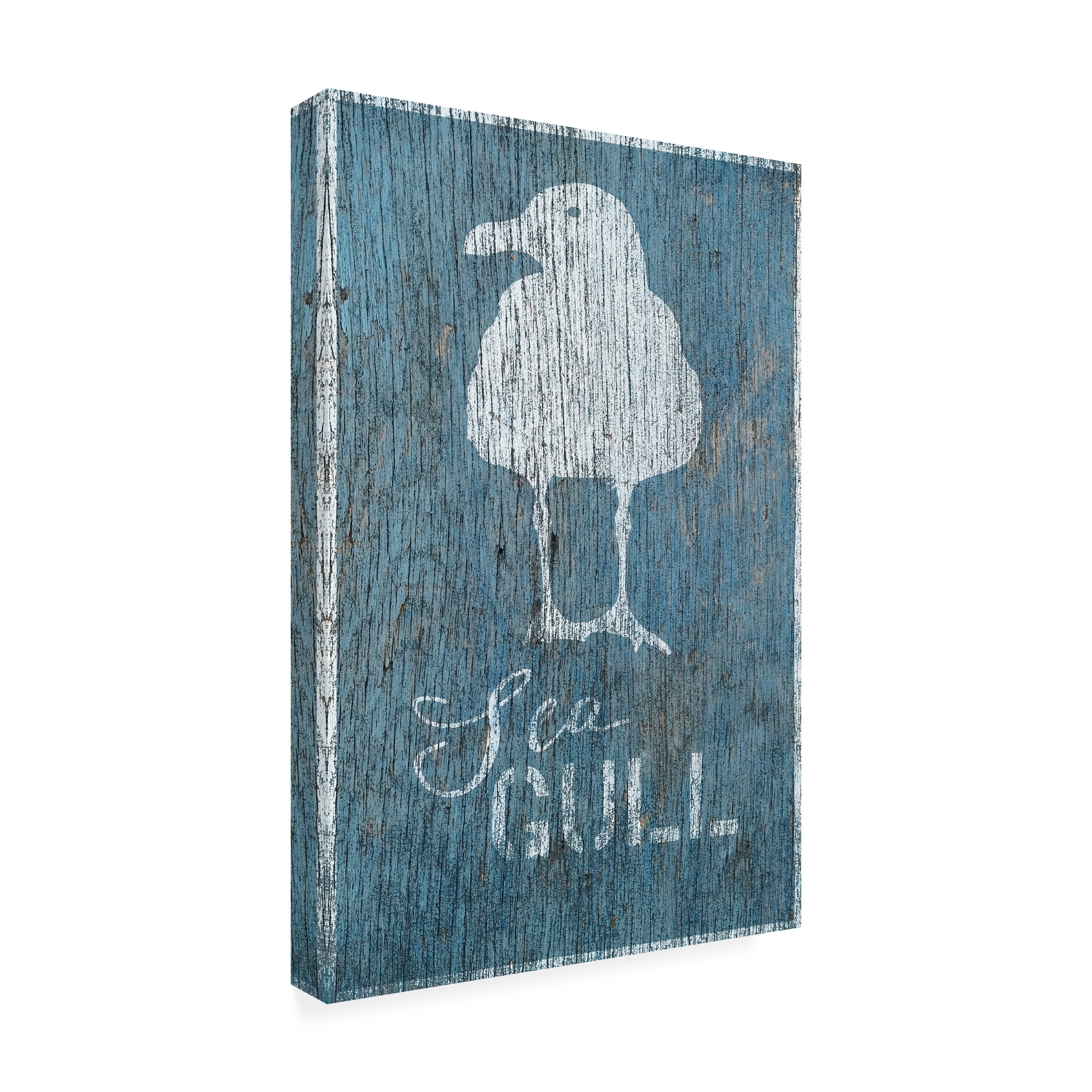 Cora Niele 'Seagull on Blue Wood' Canvas Art