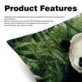 thumbnail image 2 of Panda Set of 2 Velvet Throw Pillow Covers Inserts with 16x16, 18x18, 20x20 Inches Chair Pillow Covers - Unique Patterns for Throw Pillows for Various Occasions, 2 of 6