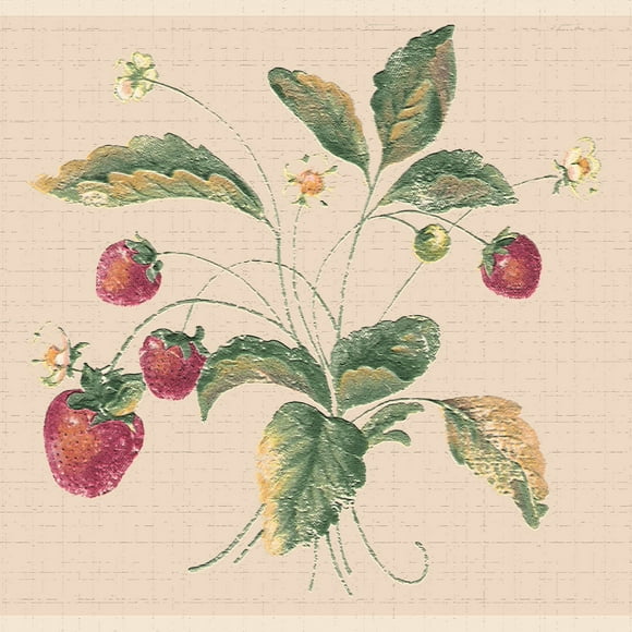 Dundee Deco's Peel and Stick Wallpaper Border - Nature Red Green Strawberries Wall Border Retro Design, 15 ft x 7 in (4.57m x 17.78cm), Self Adhesive