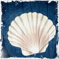 thumbnail image 2 of Allen, Kimberly 20x20 White Modern Wood Framed Museum Art Print Titled - Coastal Shells 2, 2 of 4