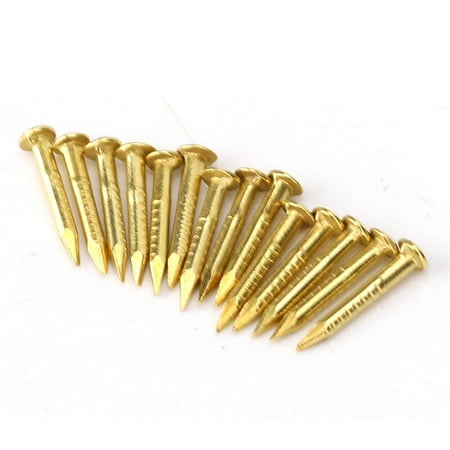 

OTVIAP 100Pcs Brass Escutcheon Tacks Hardware Nail Assortment Kit Round Head Brass Brad Nail Furniture Hinge Hardware Accessories 10mm/15mm/18mm/22mm