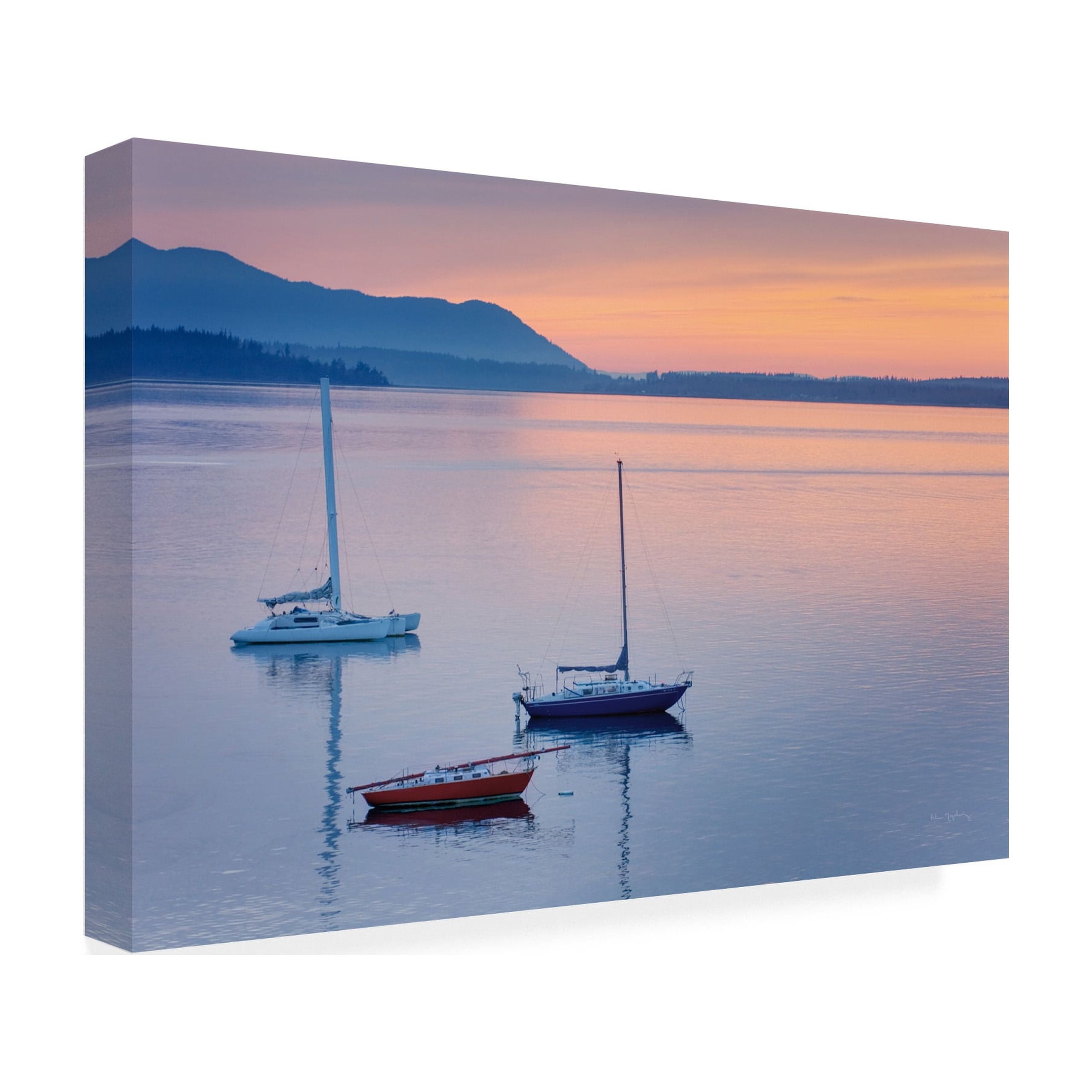 Trademark Fine Art 'Bellingham Bay' Canvas Art by Alan Majchrowicz