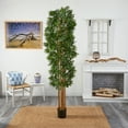 thumbnail image 2 of Nearly Natural 7' Bamboo Japonica Artificial Tree, Green, 2 of 2