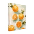 thumbnail image 2 of Emma Scarvey 'Fresh Citrus V' Canvas Art, 2 of 3
